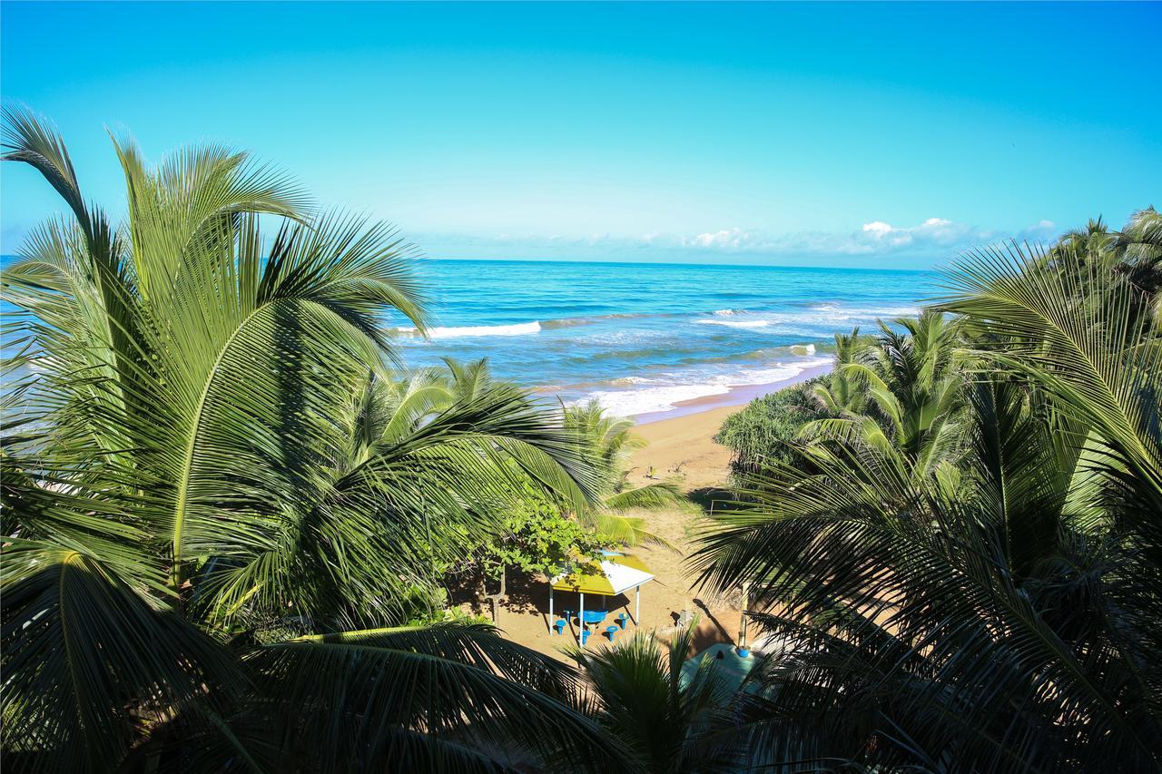 Oasey Ayurveda Hotel Bentota Exterior foto